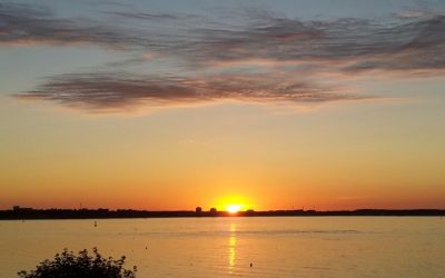Resilienz-Coaching - Stärken der mentalen Widerstandskraft